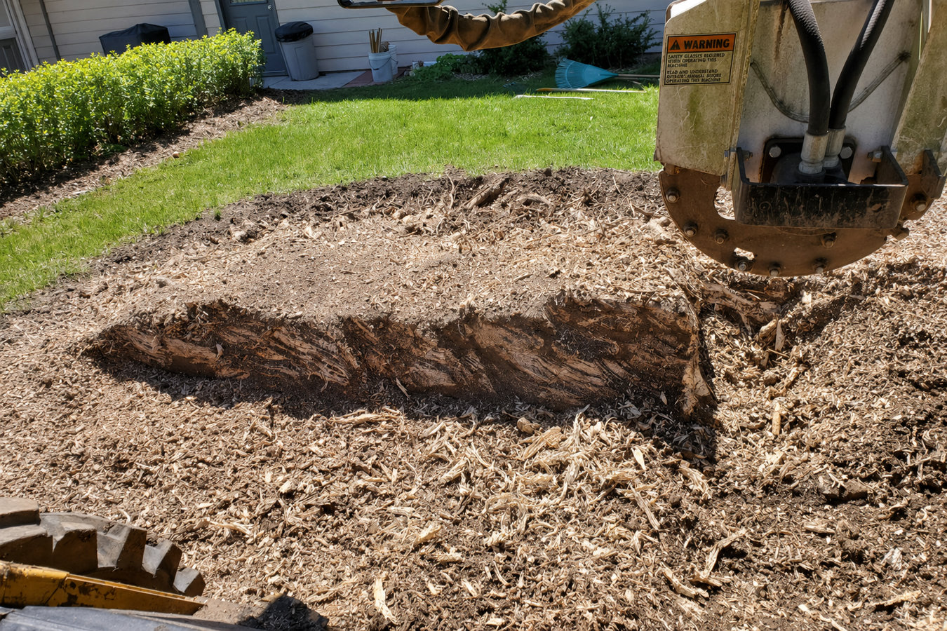 Stump grinding in Lake Elsinore, CA